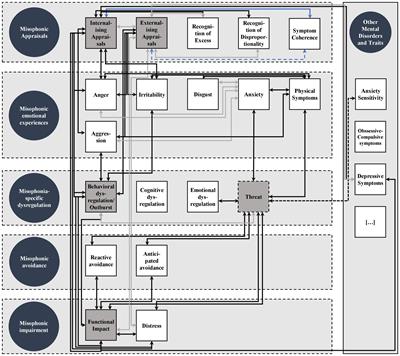 A nomological network for misophonia in two German samples using the S-Five model for misophonia